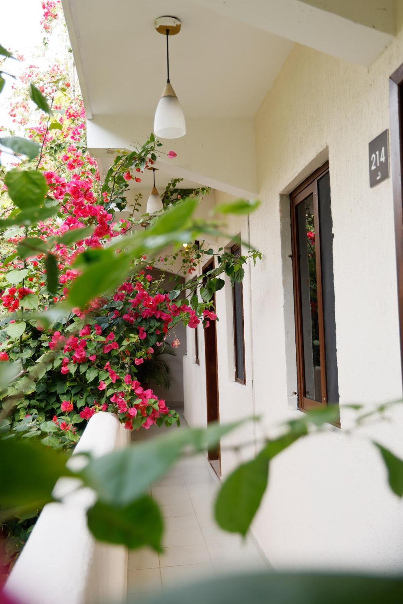 Hotel Hulku Playa del Carmen Quarto foto